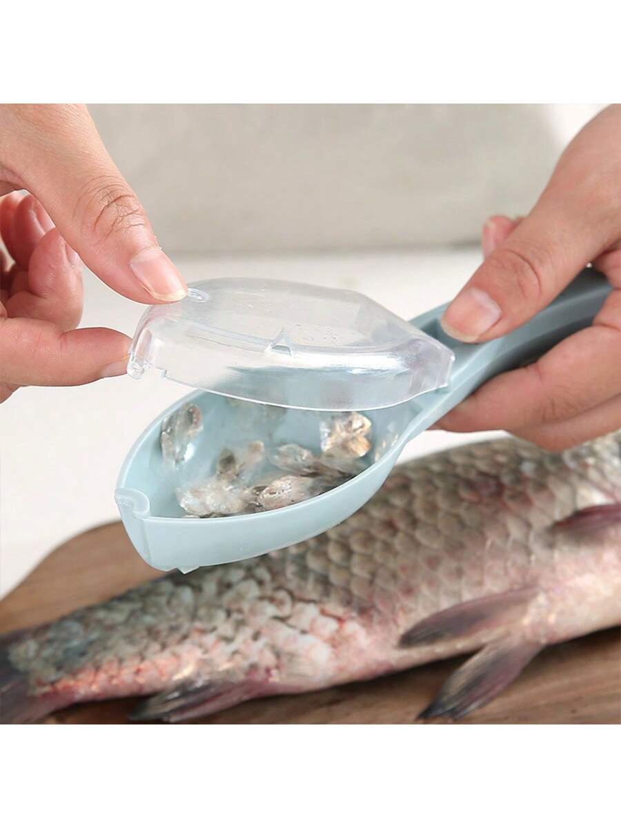 1 fish scale remover, made of PP, easy to handle, easy to clean, non-slip and durable, suitable for kitchen Blue/Green/Beige-Multicolor-2